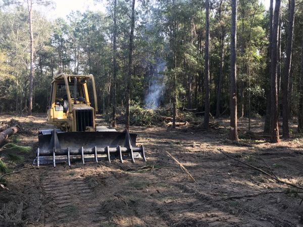 Stamford Land Clearing