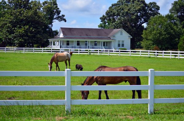 Stamford Fence Service